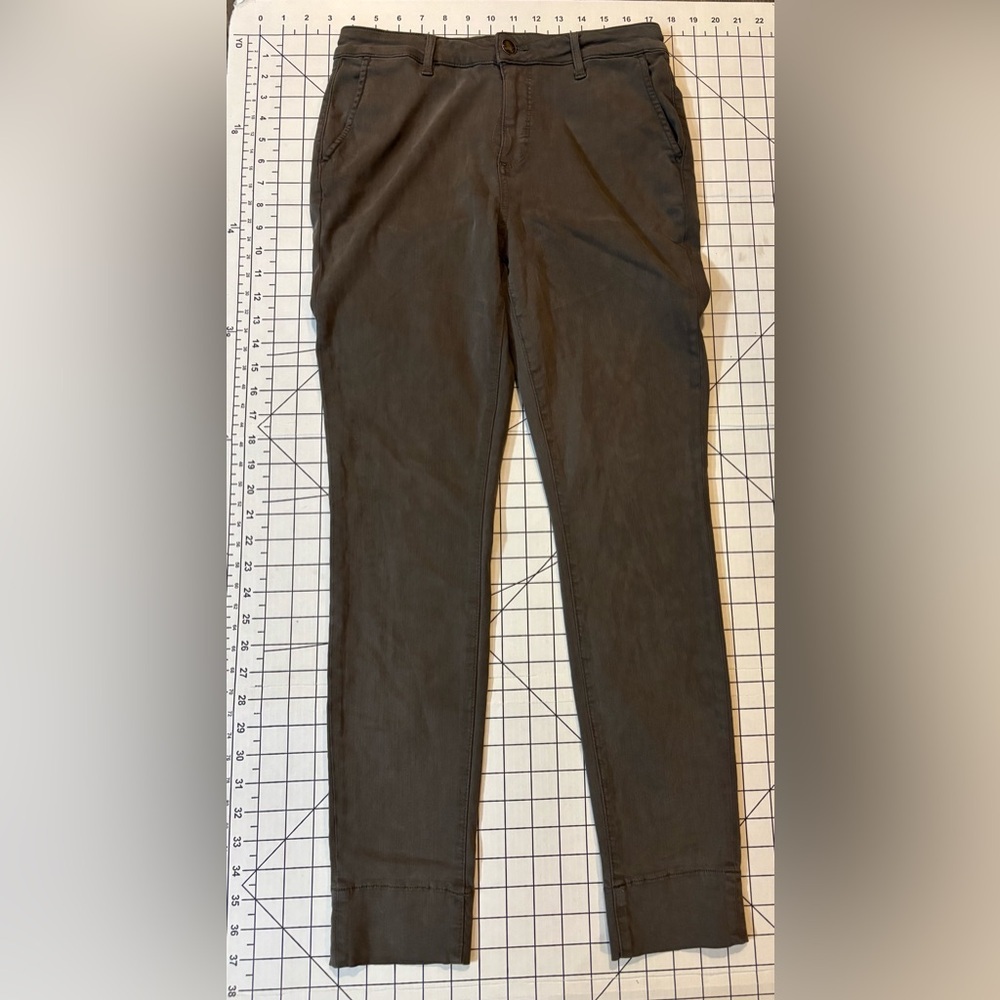Cosmic Blue Love by Pistola Women’s Size 28 Grey-Green Chino Style Crop Pants